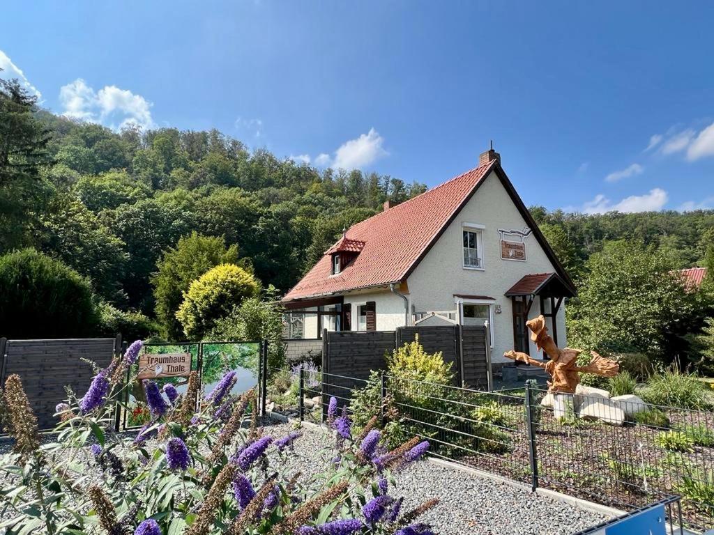 Traumhaus Thale Mit Sauna Und Kamin Εξωτερικό φωτογραφία